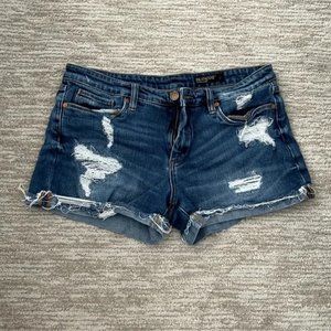 BlankNYC Jean Shorts - Tomboy Size 29
